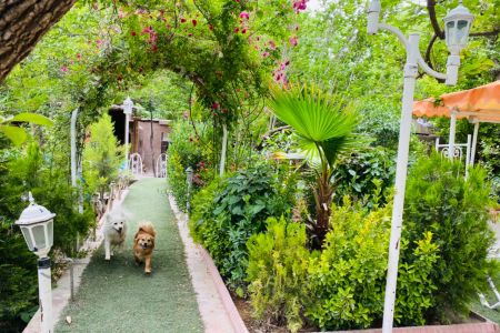 ویلا باغ با روفگاردن و استخر - معالی آباد شیراز