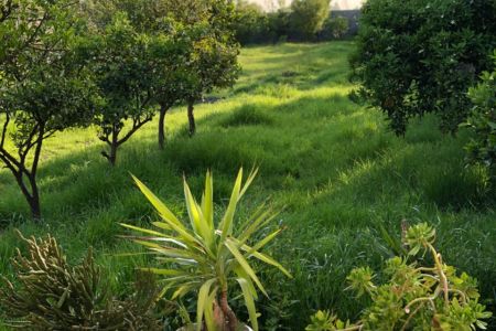 اجاره خانه ویلایی در قائم شهر - سنگ کتی