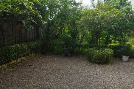 اجاره منزل ویلایی در رامسر - سفید تمشک