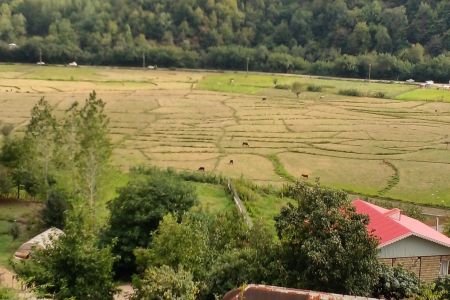 خانه ویلایی در ماسال - سراکه - ط بالا