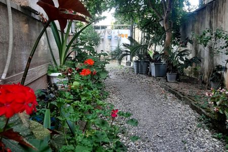 اجاره خانه حیاط دار در رامسر - طبقه دوم