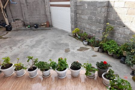 ویلا در ماسال - پیرسرا