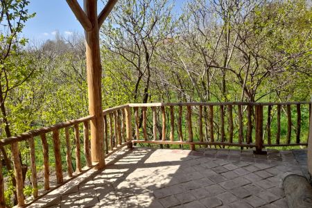 Garden Villa in Torghabeh