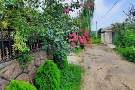 اجاره خانه ویلایی در جاده قلعه رودخان