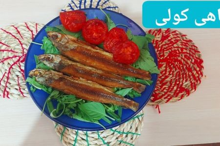 بومگردی در سقالکسار - سیاه کوتی