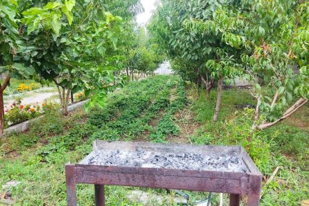 اجاره باغ ویلا در اردبیل - جبه دار