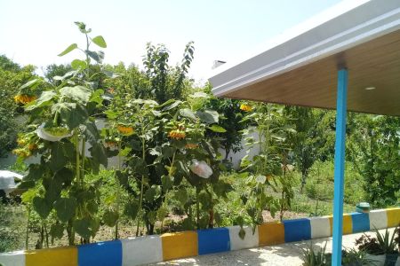 سوئیت حیاط دار در فریدونکنار