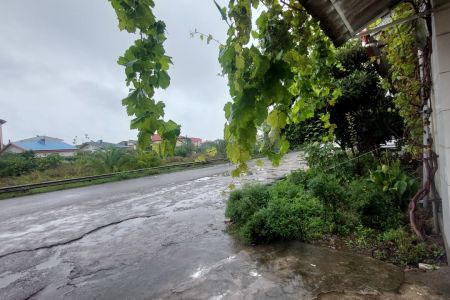 اجاره خانه ویلایی در رشت