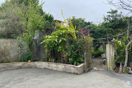 سوئیت مبله در رامسر - سفید تمشک - همکف