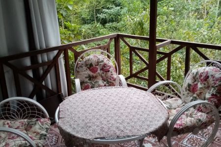 اجاره کلبه سوئیسی در شیرگاه - کلیج خیل