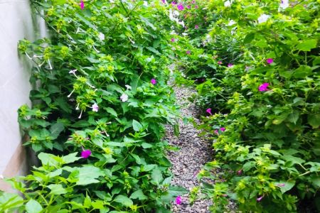 خانه ویلایی در جاده اسالم - طبقه اول
