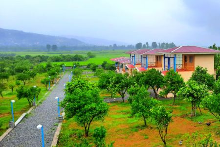 اجاره کلبه در سوادکوه - کلبه فلت