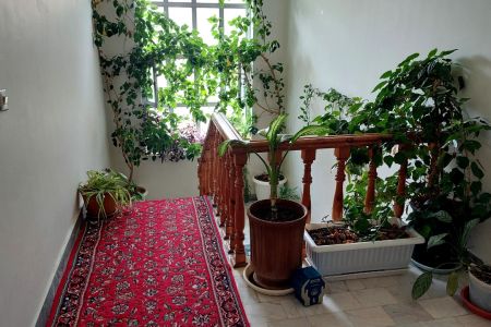 اجاره خانه ویلایی در رامسر - رمک - طبقه دوم