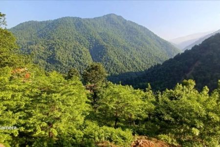 اجاره کلبه چوبی در ماسال - سلیم آباد - ط ۲
