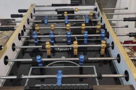 ویلاباغ دوبلکس در فومن - فوشه