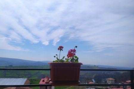 اجاره خانه مبله در بهشهر - رودبار - ط ۲