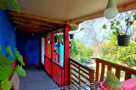 رزرو کلبه جنگلی در بابلکنار - جاجن