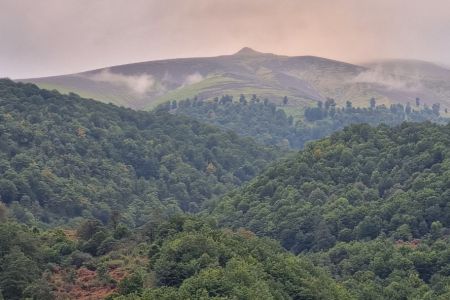 اجاره سوئیت تراس دار در ماسوله