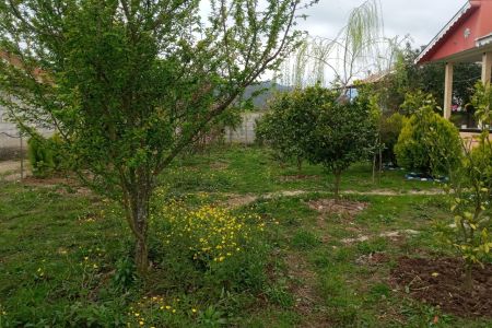 اجاره خانه ویلایی در ماسال - سید محله