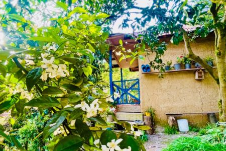 خانه کاهگلی در رامسر - رمک