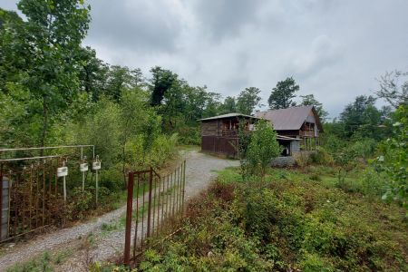 اجاره خانه روستایی دوبلکس در سوادکوه - کاردرکلا