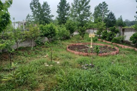 ویلا در چمستان - نانواکلا