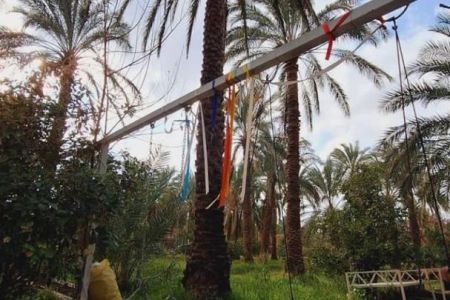بوم گردی در بم - باغدشت - ویستریا یا یاسمین
