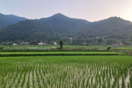 اجاره خانه حیاط دار در ماسال - ورمیه