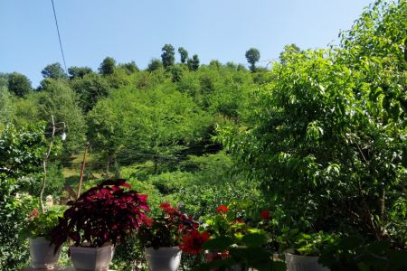 اجاره خانه ویلایی در مرکیه ماسال