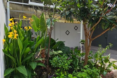 اجاره خانه مبله در رشت