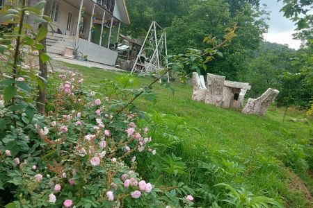 Booking a villa in Imamzadeh Hashem Saravan