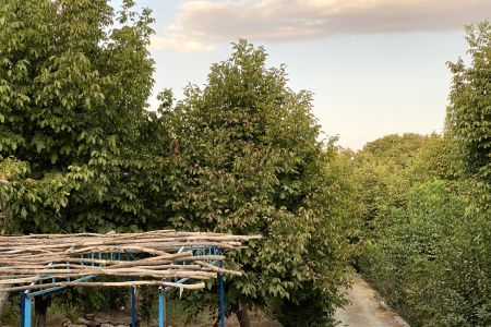 ویلا استخردار در باغ بهادران