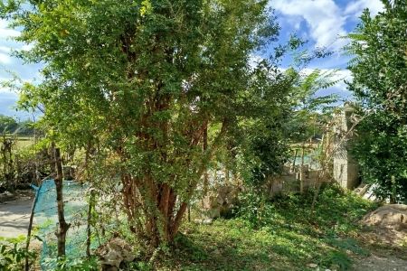 اجاره سوئیت حیاط دار در فومن - خلیل سرا