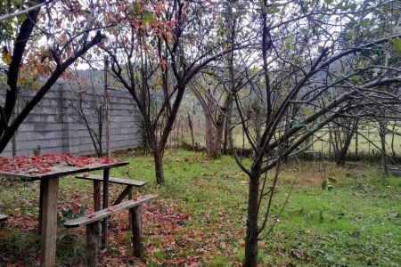 اجاره خانه ویلایی در ماسال - وشمه سرا