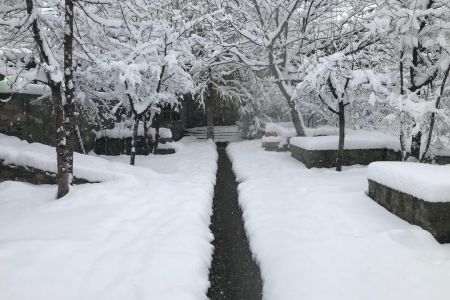 سوئیت کنار برکه در شمشک - نزدیک پیست اسکی