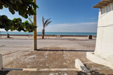 بومگردی چند قدمی ساحل دریا در هرمز - نخل