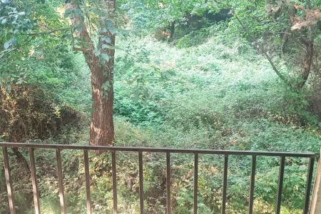 اجاره ویلا استخردار در چالوس - سردآبرود