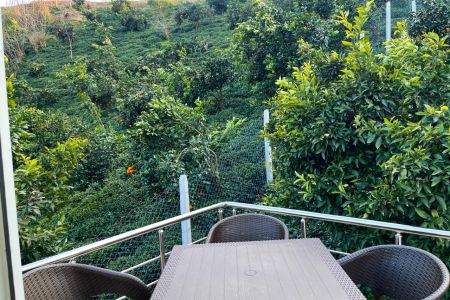 کلبه سوئیسی جنگلی در لاهیجان - زمیدان