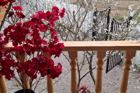 اجاره کلبه سوئیسی در سنگر - گیساوندان