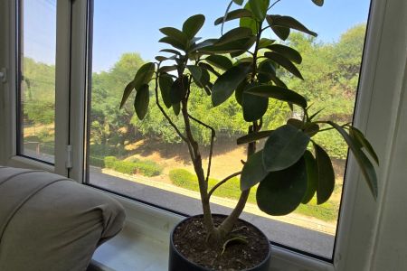 خانه بالکن دار در اهواز - نزدیک رود کارون