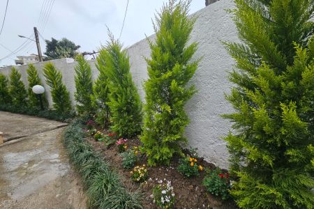 اجاره خانه ویلایی با جکوزی در رامسر