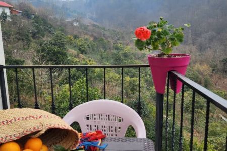 خانه با جکوزی رو به جنگل دالخانی - گانکسر