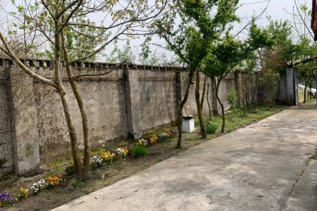 سوئیت حیاط دار در خمام - شیجان