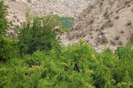 خانه بالکن دار نزدیک اورامان تخت - ژیوار - ط۲