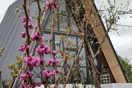 اجاره کلبه سوئیسی در اسالم - سیاه یبل - و ۲