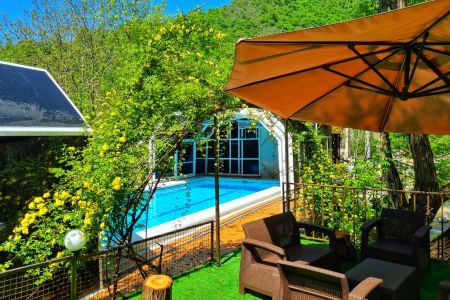 ویلای بزرگ استخردار لب رودخانه در ماسال - شالما