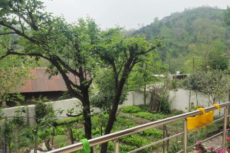 اجاره خانه حیاط دار در املش - جیرگواربر - ط ۱