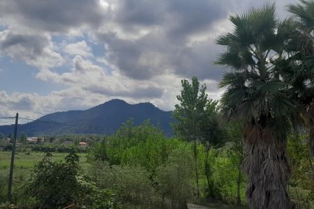 اجاره کلبه سوئیسی در ماسال - کوچکام