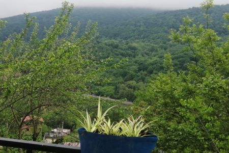 کلبه سوئیسی در جوارم زیرآب - میرورزان