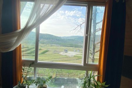 کلبه سوئیسی در لفور - درزیکلا - کلبه ۱